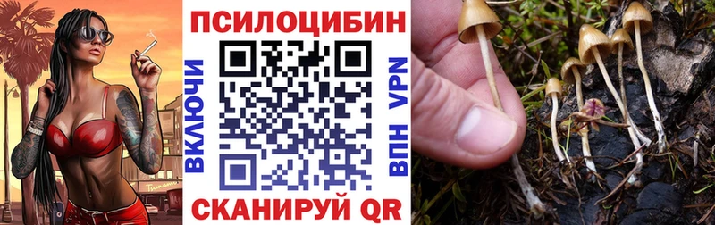 Псилоцибиновые грибы GOLDEN TEACHER  Черногорск 